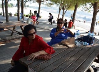 A Look at the Serbian Parliament