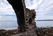 Leadership and Trustees in New York