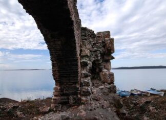 Leadership and Trustees in New York