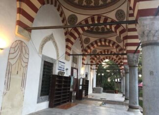 Modern Bulgarian Visual Artists